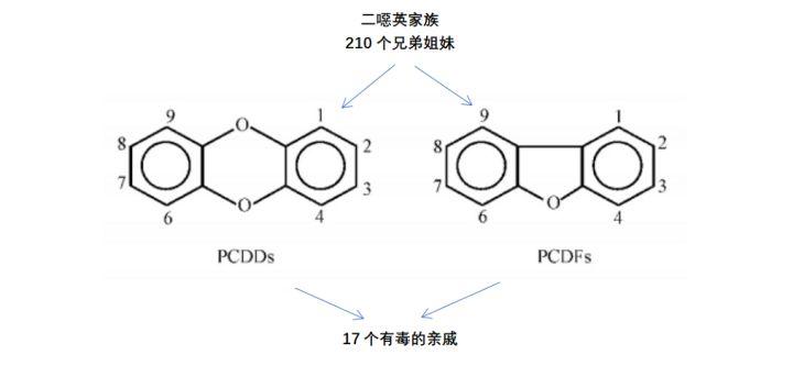 谣言粉碎机：二噁英的锅，我不背